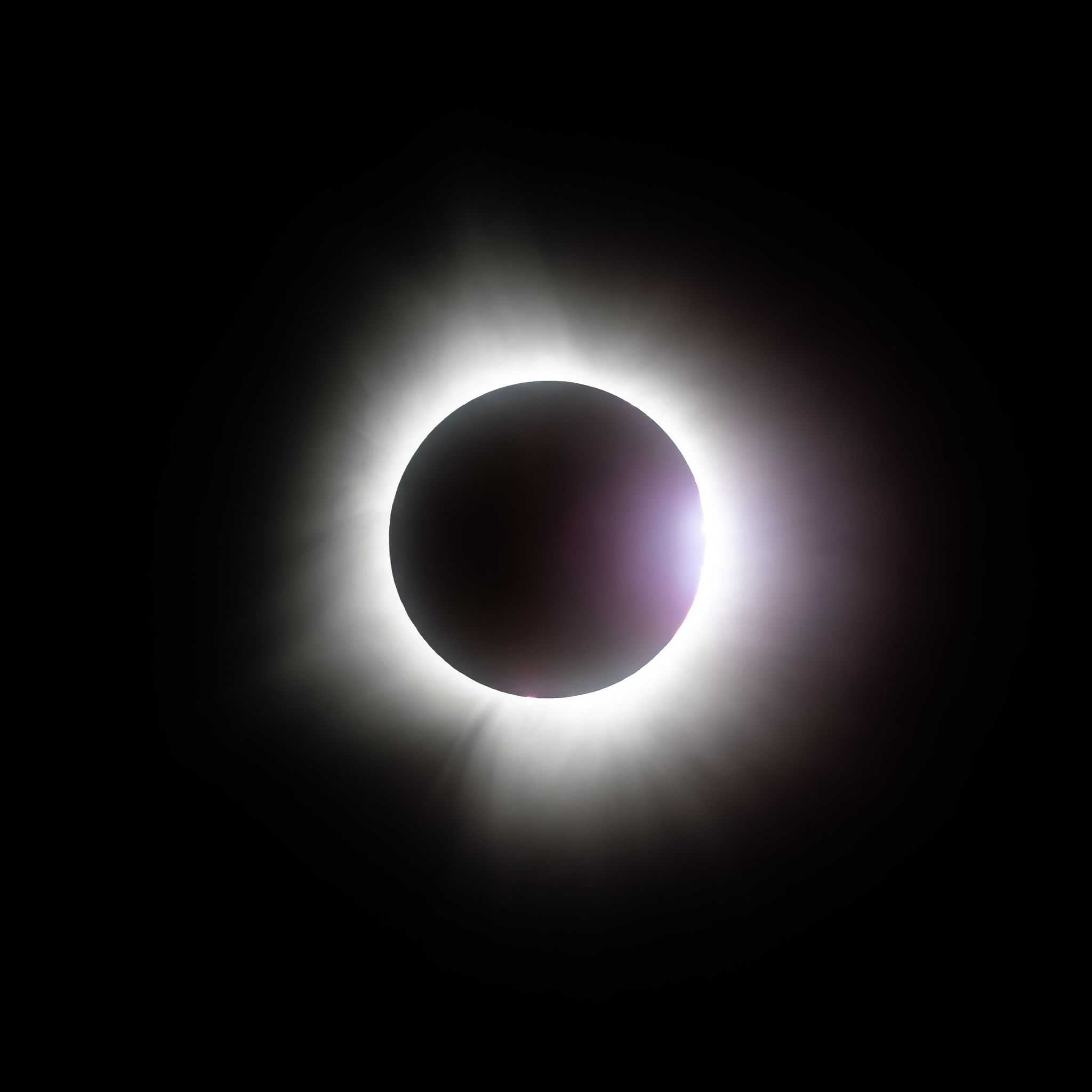 IMG 0281 Enhanced NR copy